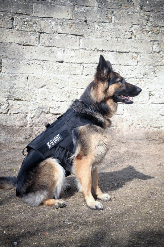 Tactical german store shepherd gear