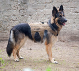 SHE-131 K9 Heavy Harness